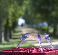 Lillico Glass Studio - Winery Find