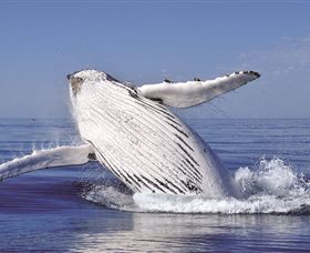 Fantasea Cruising Sydney - Winery Find 2