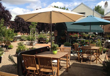 Mayfield Mews - Winery Find 0