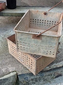 Mayfield Mews - Winery Find 2