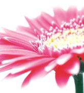 Burwood Plaza - Winery Find 0