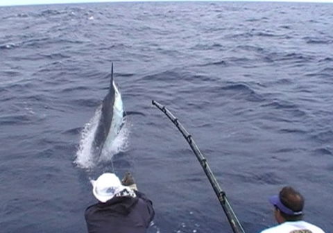 Amokura Charters - Winery Find 0