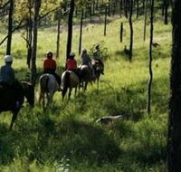 Hunter Valley Horse Riding and Adventures - Winery Find