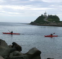 Newcastle Kayak Tours - Winery Find