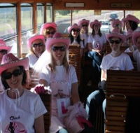 Newcastles Famous Tram - Winery Find