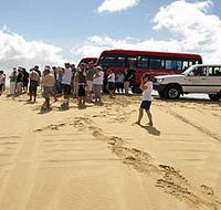 Port Stephens 4WD Tours - Winery Find