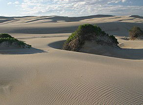 Port Stephens 4WD Tours - Winery Find 1