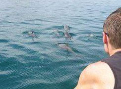 Tex Tours - Winery Find 3