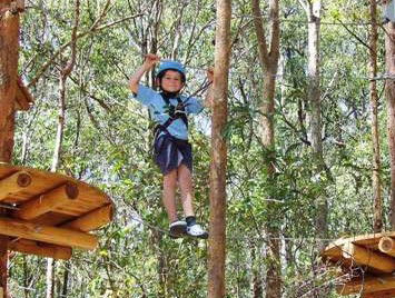 TreeTops Newcastle - Winery Find 0