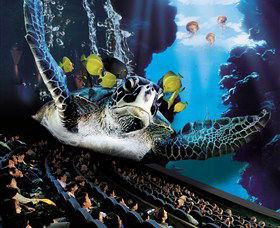 IMAX Theatre Sydney - Winery Find 0
