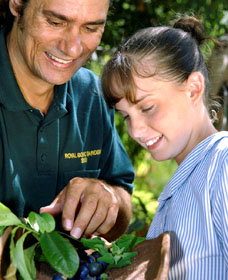 Aboriginal Heritage Tour - Winery Find 1