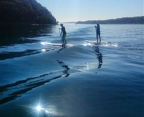 Avalon Stand Up Paddle - Winery Find 2