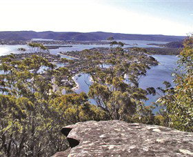 Kariong NSW Winery Find