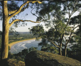 Ocean Beach Umina - Winery Find 0