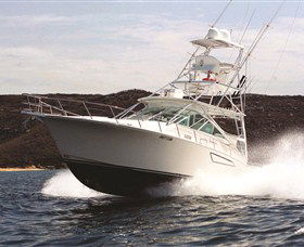 1300 Big Fish - Winery Find 0