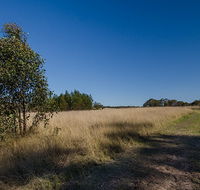 Scheyville horse riding trails - Winery Find