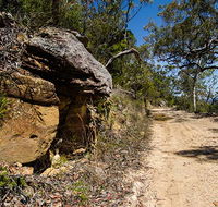 Canoelands Ridge walking track - Winery Find