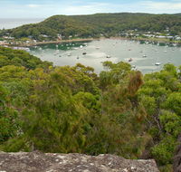 Strom loop - Winery Find