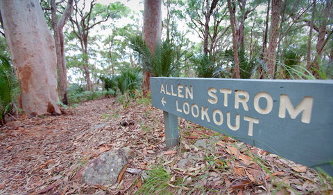 Strom Loop - Winery Find 1
