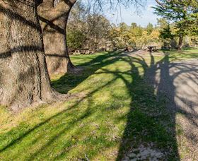 Bald Hill Lookout - Winery Find 4