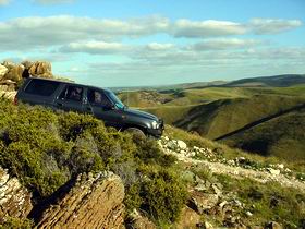 Palmer SA Winery Find