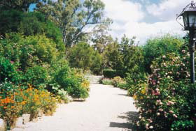 Old Government House - Winery Find 1