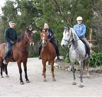 Academy of Dressage - Winery Find
