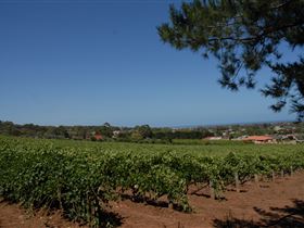 Onkaparinga Hills SA Winery Find