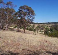 Onkaparinga River National Park - Winery Find