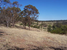 Onkaparinga River National Park - Winery Find 0