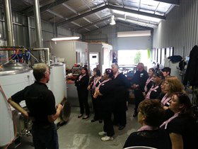 Prancing Pony Brewery - Winery Find 2