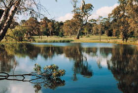 Echunga Golf Club Incorporated - Winery Find 1