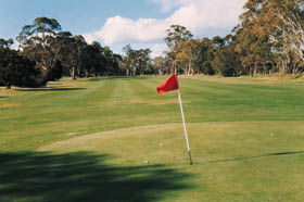 Echunga Golf Club Incorporated - Winery Find 2