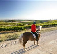 Kidman Trail - Winery Find