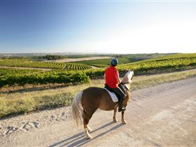 Kidman Trail - Winery Find 0