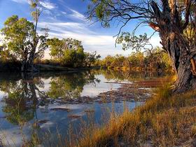 Murray River National Park - Winery Find 0