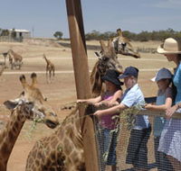 Monarto Open Range Zoo - Winery Find