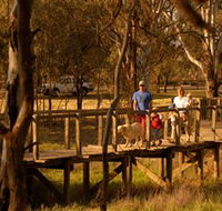 Loxton's Drives Walks and Trails - Winery Find