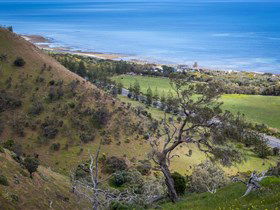 Lady Bay Beach - Winery Find 1