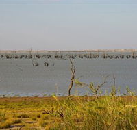 Lake Victoria - Winery Find