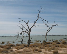 Lake Victoria - Winery Find 6