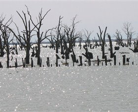 Lake Victoria - Winery Find 5