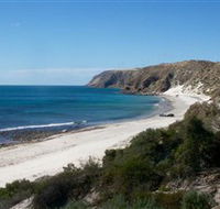 Morgan Beach - Winery Find