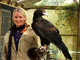 Raptor Domain - Winery Find 1