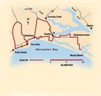 Tourist Drive Route 50 - Winery Find