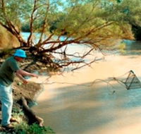 Charleville - Ward River Fishing Spot - Winery Find
