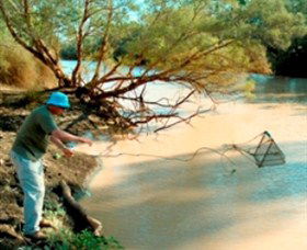 Charleville - Ward River Fishing Spot - Winery Find 0