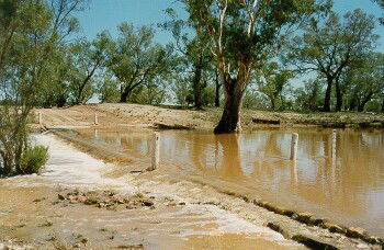 Charleville - Ward River Fishing Spot - Winery Find 2