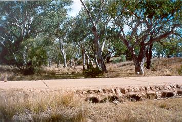 Charleville - Ward River Fishing Spot - Winery Find 1