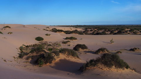 Mungo National Park - Winery Find 2